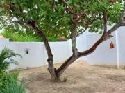 DG CA0644_CLI Casa Aeroporto, 78m2