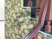 Dha1 sector f 12 marla beautifull new house availble for...