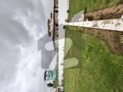Dha city farm house available for sale 2000/2500/3000