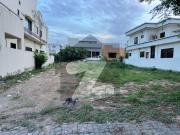 DHA Phase 2 Sector B street 1