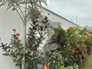 Dha Phase 6 500 Sq Yard Brand New Bungalow 2+4 Bedroom...