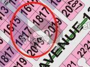 Dha phase 8 500+ plot for sale