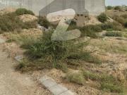 DHA PHASE 8 500 Square Yards Plot For Sale