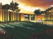 Dhamni Residential Plot For Sale Pune