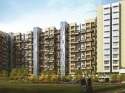 Dhanori 1 BHK Apartment For Sale Pune
