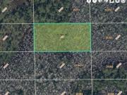 Dill Rd, Orlando, Plot For Sale