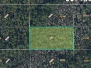 Dill Rd, Orlando, Plot For Sale