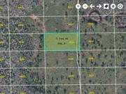 Dill Rd, Orlando, Plot For Sale