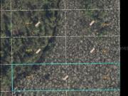 Dill Rd, Orlando, Plot For Sale