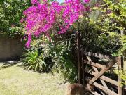 Dique Luján | Alquiler temporario | Lindas cabañas con...