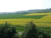 direkt am Naturschutzgebiet* wunderbar gelegene 3 Zimmer...