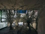 Direkt am Wasser mit eigenem Bootssteg Preis auf Anfrage