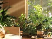 Discover Elevated Living in St. Kilda: A Stunning Brand...