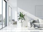 Discover Elevated Living in St. Kilda: A Stunning Brand...