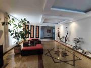 Diseño y Comodidad | Ideal para Parejas o Ejecutivos en...