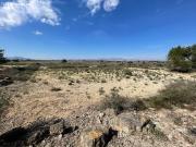 DISFRUTA DEL CAMPO A UN PASO DE LAS PLAYAS DE ELCHE