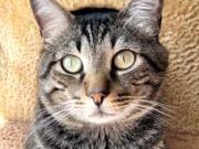 Divido apê na Barra Funda/Santa Cecília Est.Marechal Deodoro