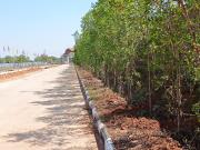 Divyabhumi Divine City 200 Sq. Yd. Plot in Nandigama...
