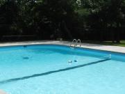 Dixie Meadows 1 Bedroom Apartment for Rent at 3170 Dixie...