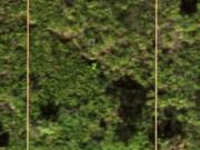 Dixon Ter, Port Charlotte, Plot For Sale