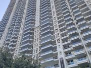 DLF Midtown Plaza 3 Bedroom 2282 Sq. Ft. Apartment in...