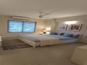 DLF Regency Park I 1 Bedroom 305 Sq. Ft. Apartment in...