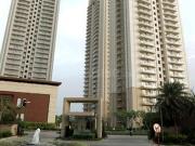 DLF The Primus,Sector 82A 3 BHK Apartment For Sale Gurgaon