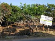 DMTV2301 TERRENO EN VENTA PUEBLO VIEJO, VERACRUZ. 833:...