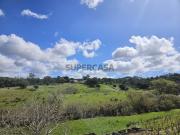 Dois Lotes de Terreno Urbanos com vista Impar