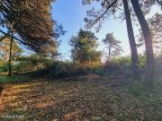 Dois terrenos rsticos com excelente exposio solar em Fo...
