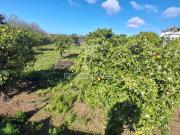 Dois terrenos rusticos com área 11400m2 na saida de Faro