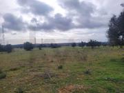 DOIS TERRENOS RÚSTICOS COM O TOTAL DE 12160M2 PARA VENDA...