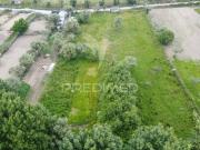 Dois Terrenos Rústicos em Açores Celorico da Beira