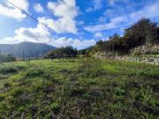Terreno Misto com casa no Alferce Correntinho Terreno Misto com casa no Alferce Correntinho