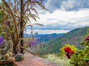 Domaine au calme avec eau de source, piscine et gîtes –...