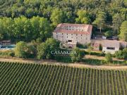 Domaine de caractère de plus de 900 m² avec 4 gîtes,...