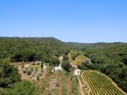 Domaine provençal avec vignoble, oliveraie et potentiel...