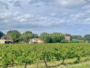 Domaine viticole de 14ha avec 10ha plantés en AOP Village