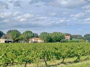 Domaine viticole de 14ha avec 10ha plantés en Aop...