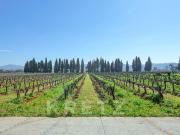 Domaine viticole en Provence 800m² Hyères