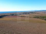 Domaine viticole et touristique d'exception dans...