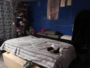 DOMINIO INMOBILIARIO PROPONE EN VENTA CASA EN COLONIA...