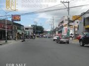 Dona Soledad Paranaque 2 Commercial lot for Sale