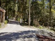 Donde el Bosque Se Convierte en Hogar Terrenos en Venta