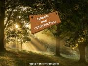 DONNEZAC TERRAIN NON CONSTRUCTIBLE