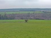 Doon, Glenville, Cork Hodnett Forde Property Services... Doon, Glenville, Cork Hodnett Forde Property Services...