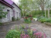 Dooneen Burren Co Clare, Bellharbour, Clare, H91YDW7