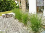 Doppelhaushälfte in 50767 Köln, Wilhelm König Str