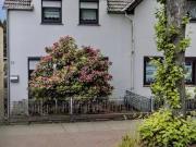 Doppelhaushälfte mit großem Grundstück