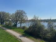 Doppelhaushälfte mit Potenzial in Wittlaer und...